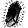 Celestial Shard of Darkness