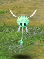 Forest Spirit