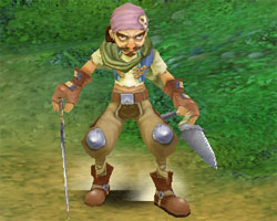 Sand Bandit Leader - Garet