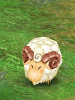 Cuddly Lamb