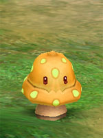 Sandy Shroom