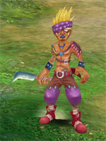 Sand Brigand