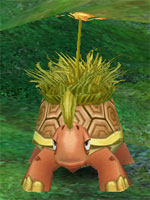 Sandy Tortoise