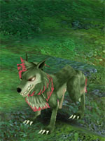 Grassland Wolf