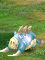 Snowy Tusk Boar