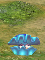 Bubble Clam