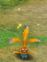 Orange Mystic Shrub