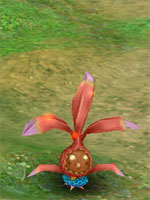 Red Mystic Shrub