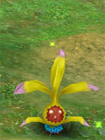 Dry Mystic Shrub