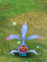 Blue Mystic Shrub