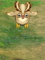 Owlie
