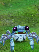 Sentry Crab