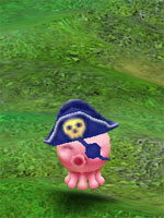 Pirate Squidy