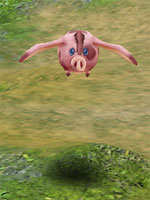 Piglet