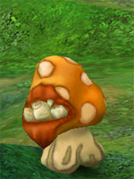Killer Shroom