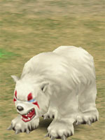 Polar Bear