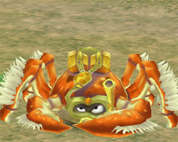 Long Hair Crab