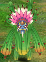 Cactus Chieftian
