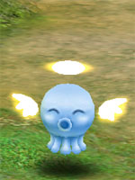 Angel Squidy