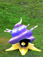 Northern Snail