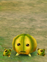 Gigantic Melon