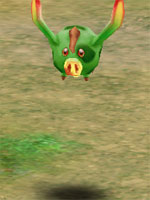 Combat Piglet