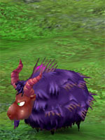 Crazy Sheep