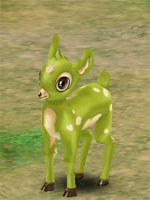 Meadow Deer