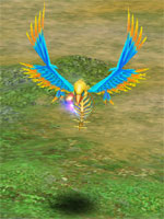 Sharp Beak