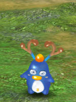 Horned Penguin
