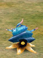 Sea Snail