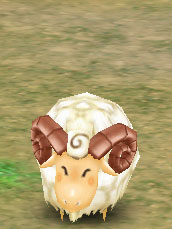Cuddly Lamb