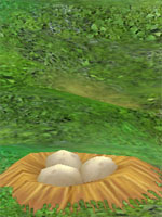Fearsome Tortoise Lair
