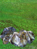Iron Ore