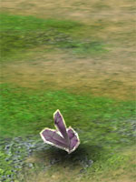Lucky Magical Stone