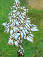 Pine Tree