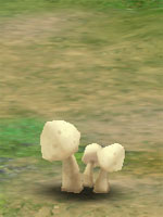 Mushroom