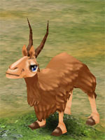 Humpy Camel
