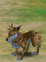 Wolf