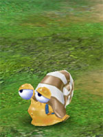 Steel-shell Snail