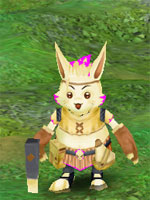 Terra Soldier Leader