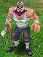 Northern Pirate Militia