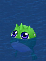 Big Eyed Polliwog