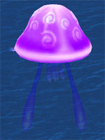 Tornado Sea Jelly