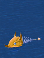 Decaying Fish Bone