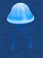 Swift Electric Sea Jelly
