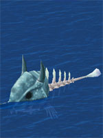 Scavenger Fish Bone