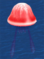 Berserk Electric Sea Jelly