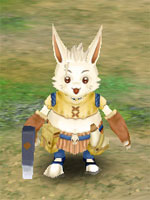 Terra Soldier Leader