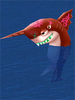 Silk Shark